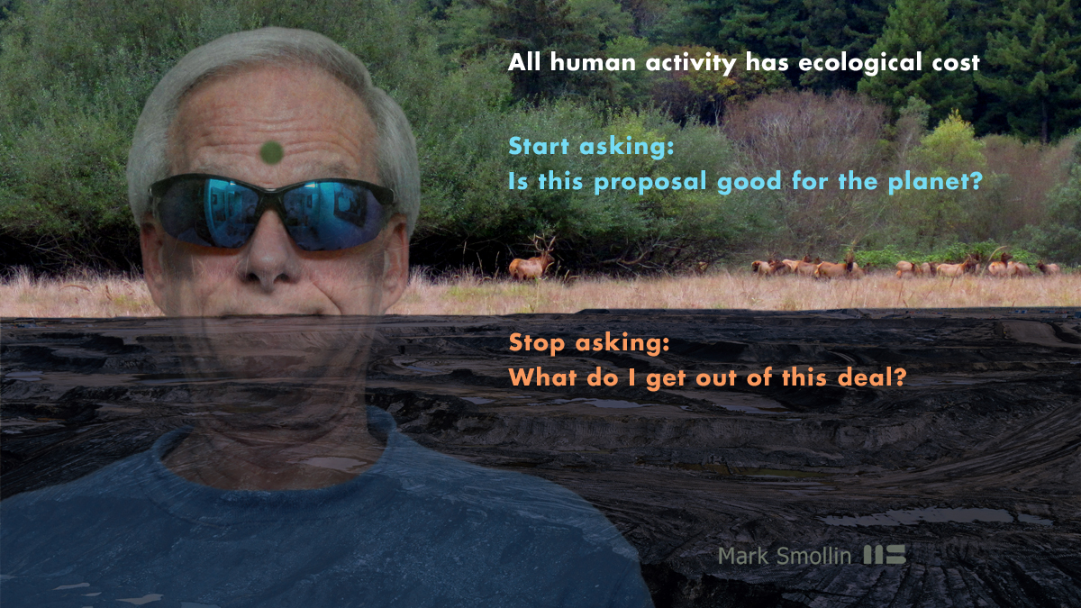 Ecological Cost