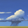 Kansas Jellyfish Icon