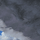 Pterodactyl Icon