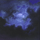 Pasadena Moon Icon